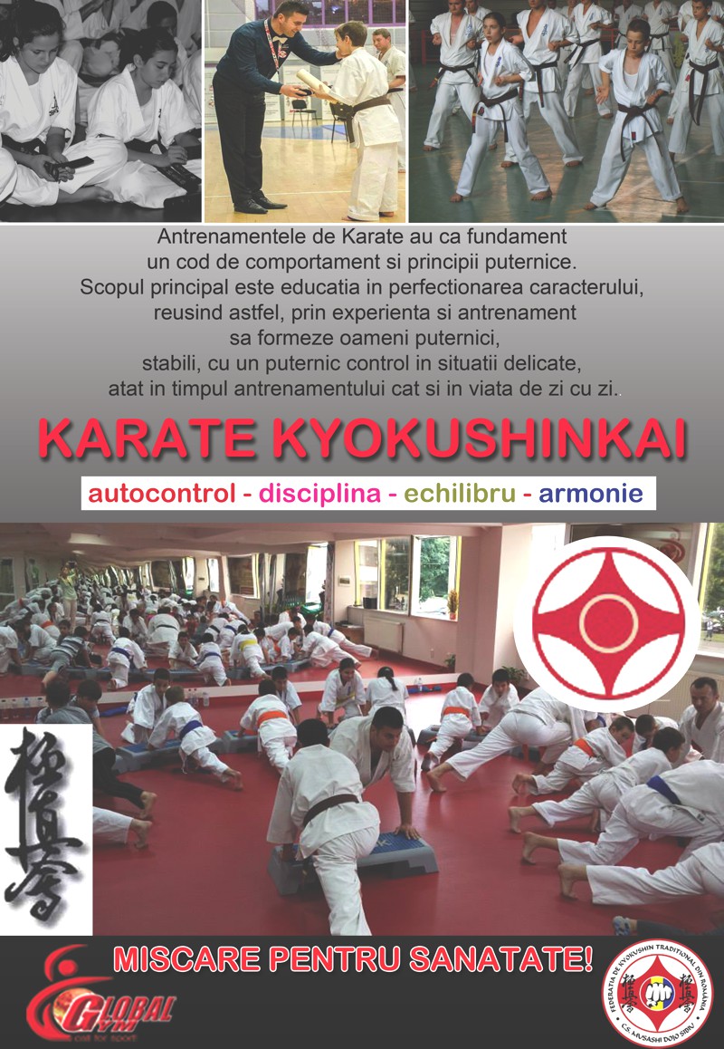 kyokushin karate training manual
